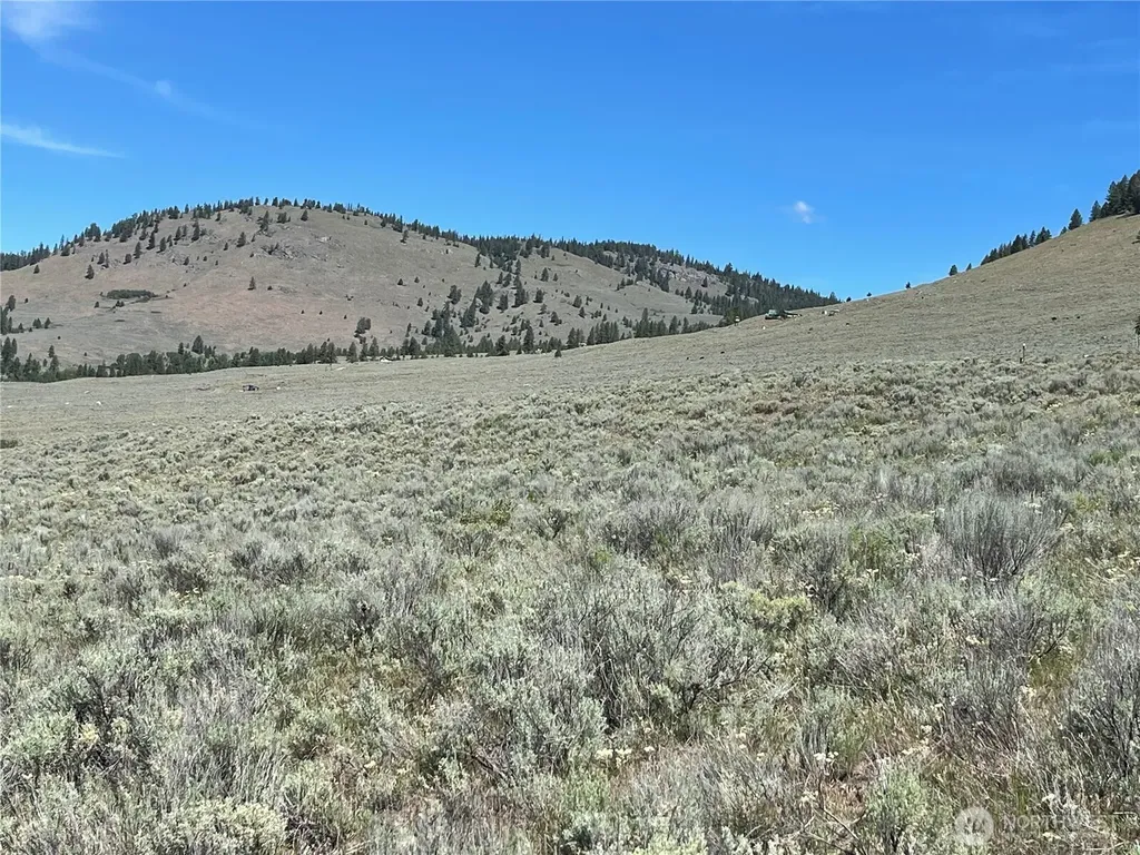 234 One Sky View Drive Tonasket WA 98855