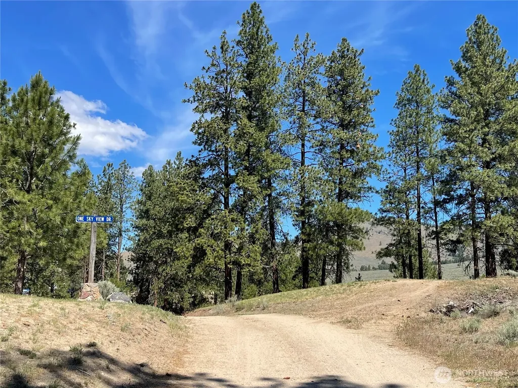234 One Sky View Drive Tonasket WA 98855