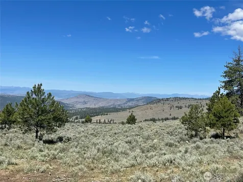 234 One Sky View Drive Tonasket WA 98855