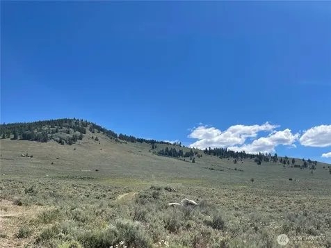 234 One Sky View Drive Tonasket WA 98855