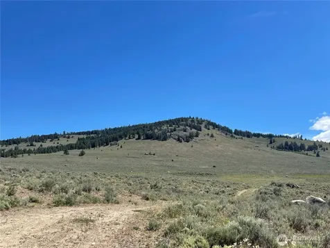 234 One Sky View Drive Tonasket WA 98855