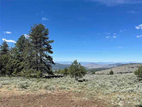 234 One Sky View Drive Tonasket WA 98855