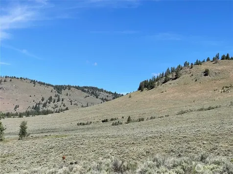 234 One Sky View Drive Tonasket WA 98855