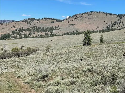 234 One Sky View Drive Tonasket WA 98855