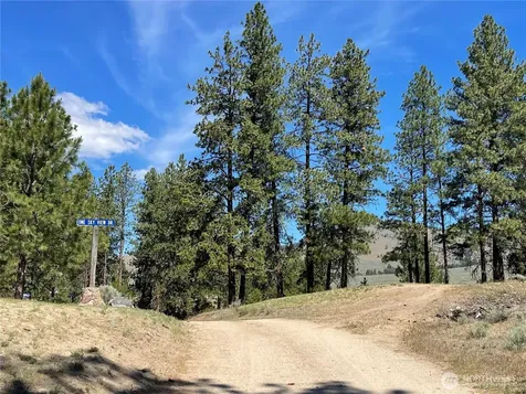 234 One Sky View Drive Tonasket WA 98855