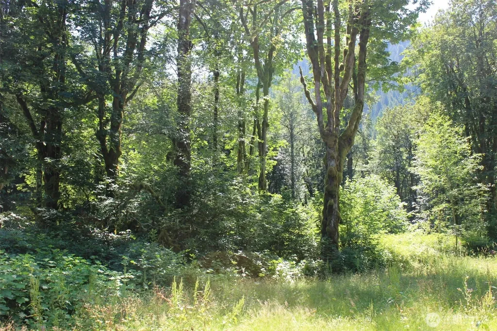 0 South Shore Drive Mount Vernon WA 98274