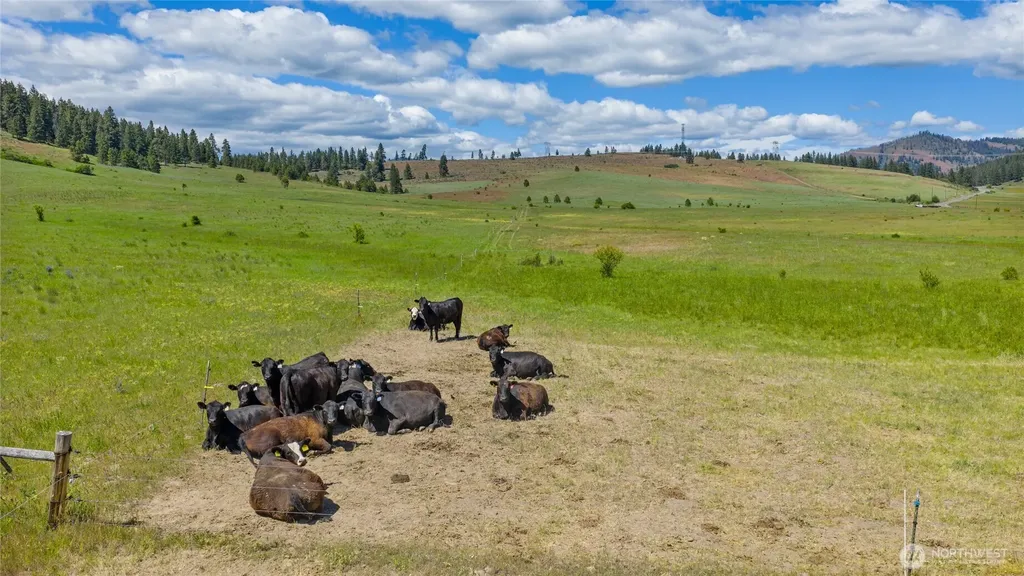 1371 Bettas Road Cle Elum WA 98926