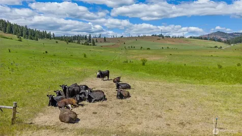 1371 Bettas Road Cle Elum WA 98926