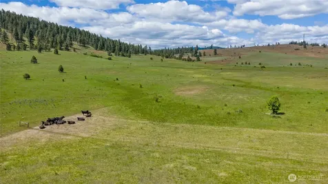1371 Bettas Road Cle Elum WA 98926