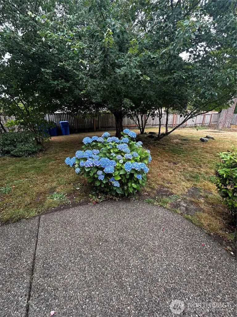 20317 124th Street Ct E Bonney Lake WA 98391