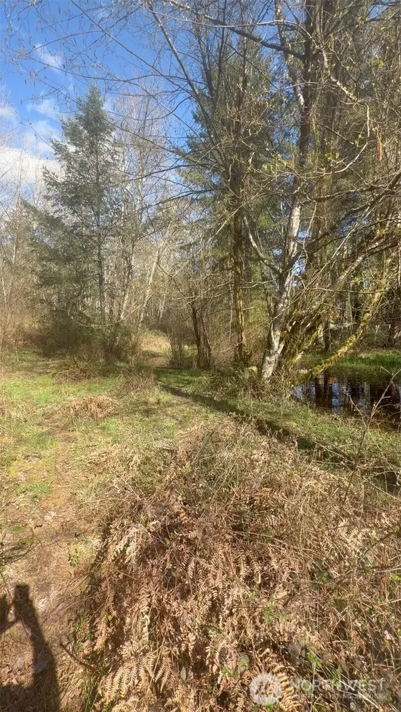 5842 137th Avenue SW Rochester WA 98579