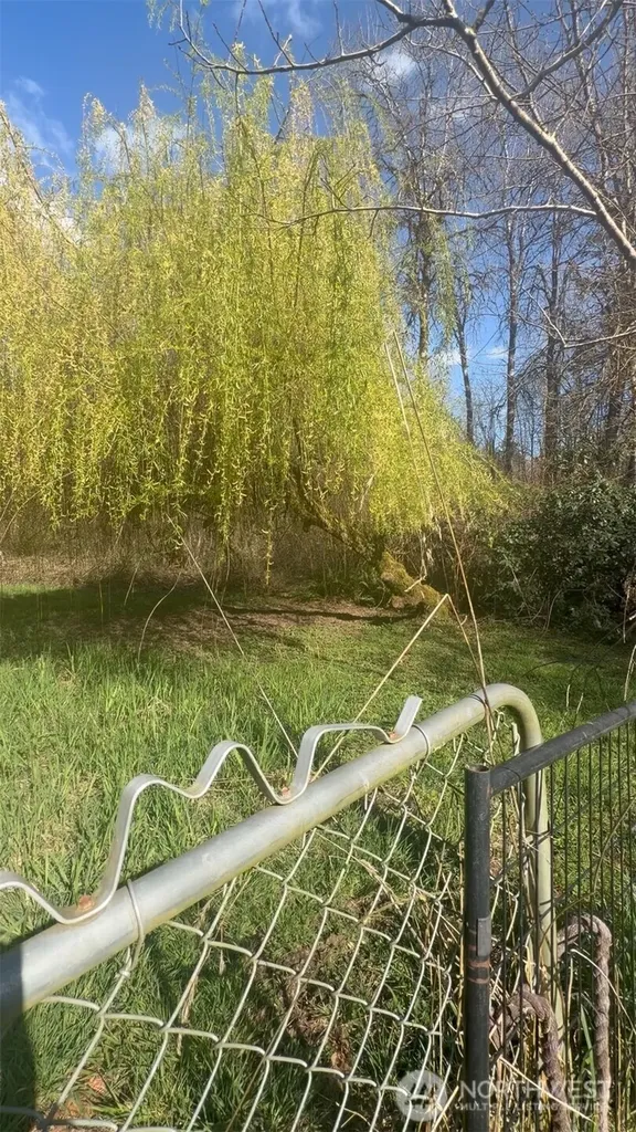 5842 137th Avenue SW Rochester WA 98579