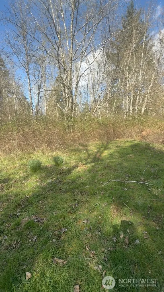 5842 137th Avenue SW Rochester WA 98579