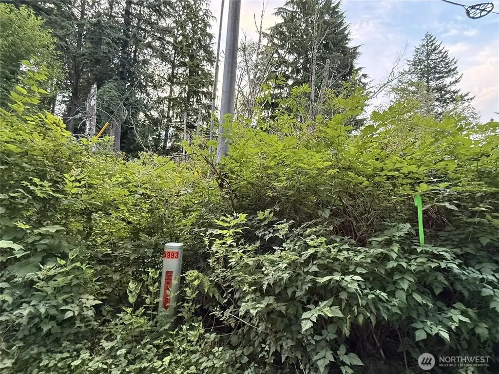 1 Bumgarner Road Arlington WA 98223