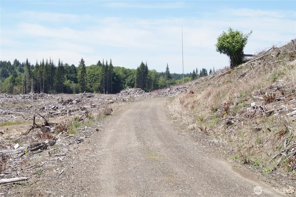 0 North River Road Cosmopolis WA 98537