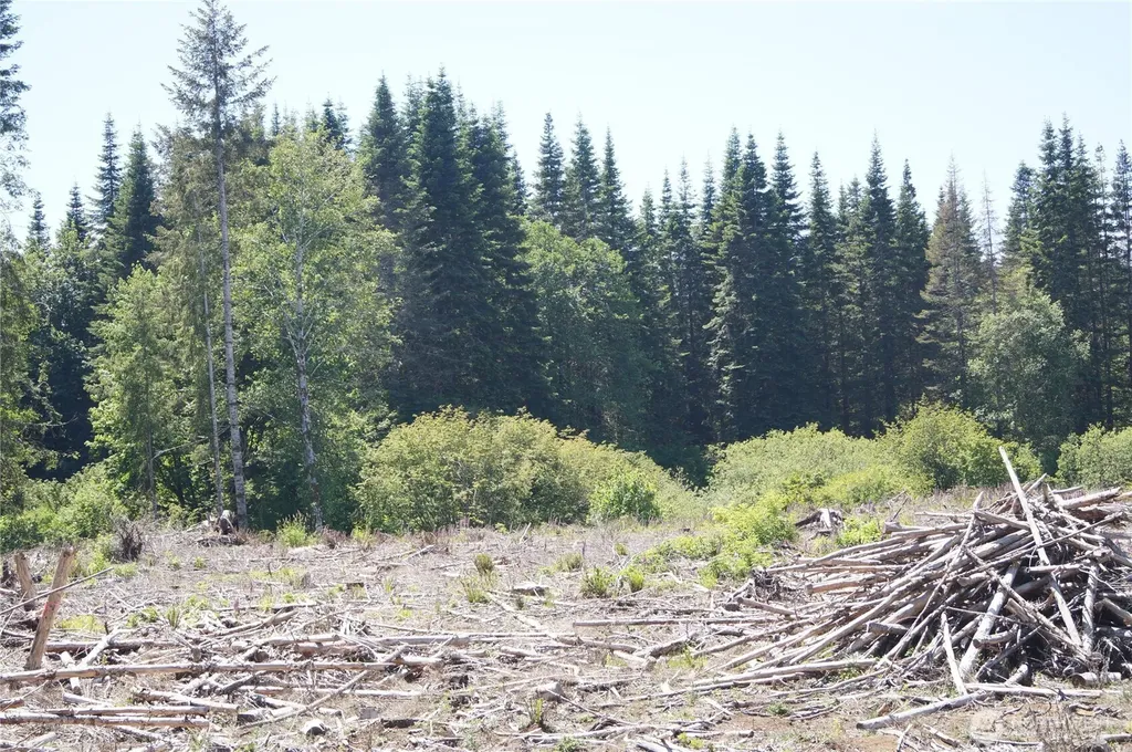 0 North River Road Cosmopolis WA 98537