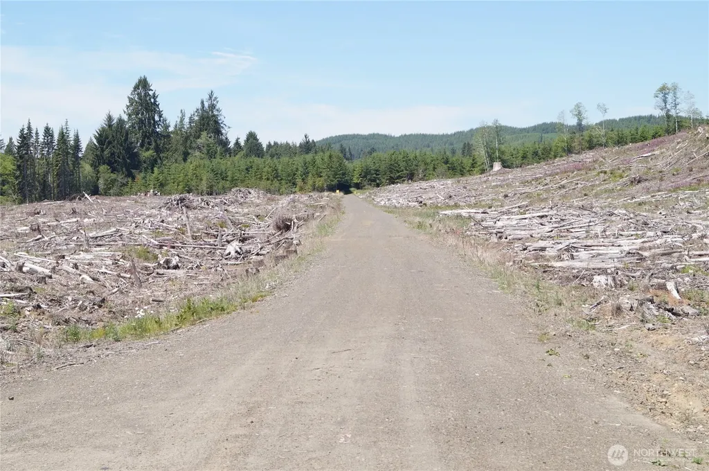 0 North River Road Cosmopolis WA 98537