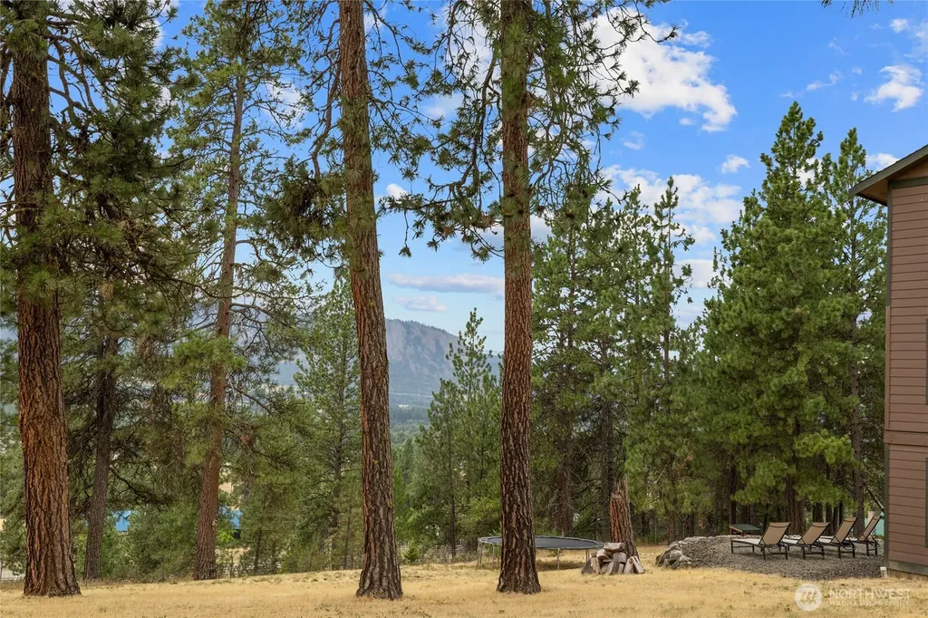 1150 White Road Cle Elum WA 98922
