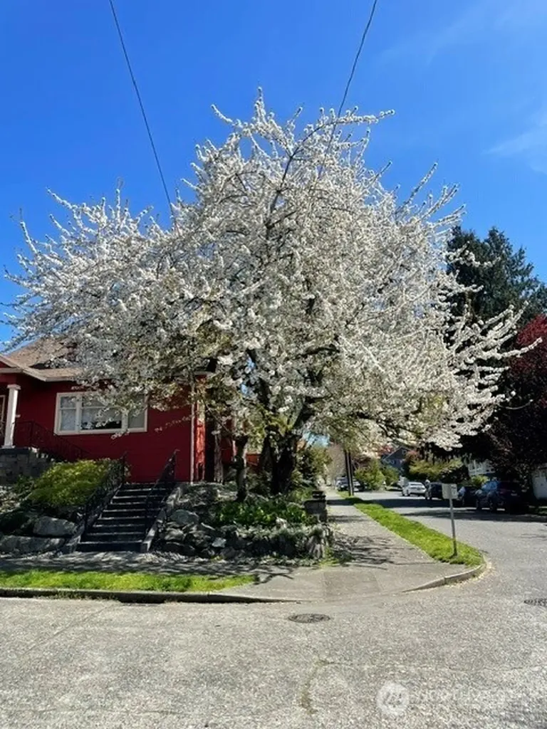 6702 5th Avenue NW Seattle WA 98117