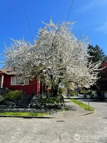 6702 5th Avenue NW Seattle WA 98117
