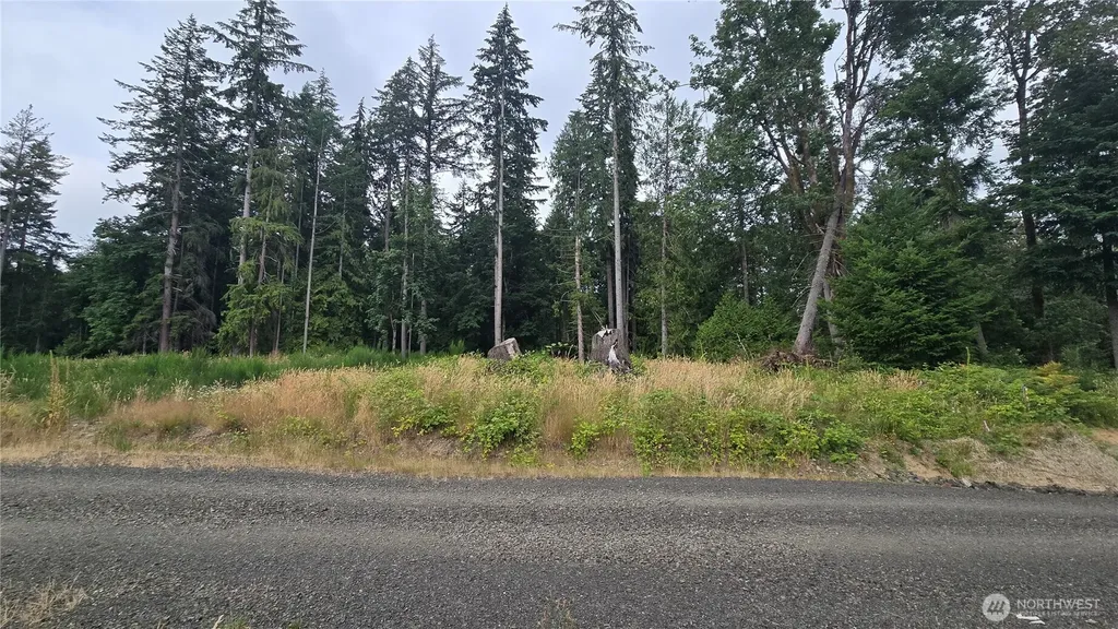 26 Oregon (Lot C Of Short Plat) Avenue E Port Orchard WA 98366
