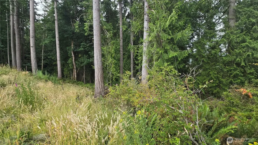 26 Oregon (Lot C Of Short Plat) Avenue E Port Orchard WA 98366