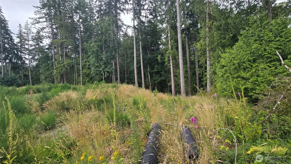 26 Oregon (Lot C Of Short Plat) Avenue E Port Orchard WA 98366