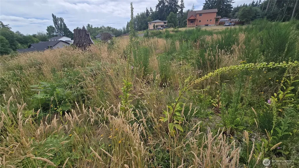 26 Oregon (Lot C Of Short Plat) Avenue E Port Orchard WA 98366