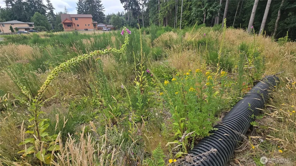 26 Oregon (Lot C Of Short Plat) Avenue E Port Orchard WA 98366