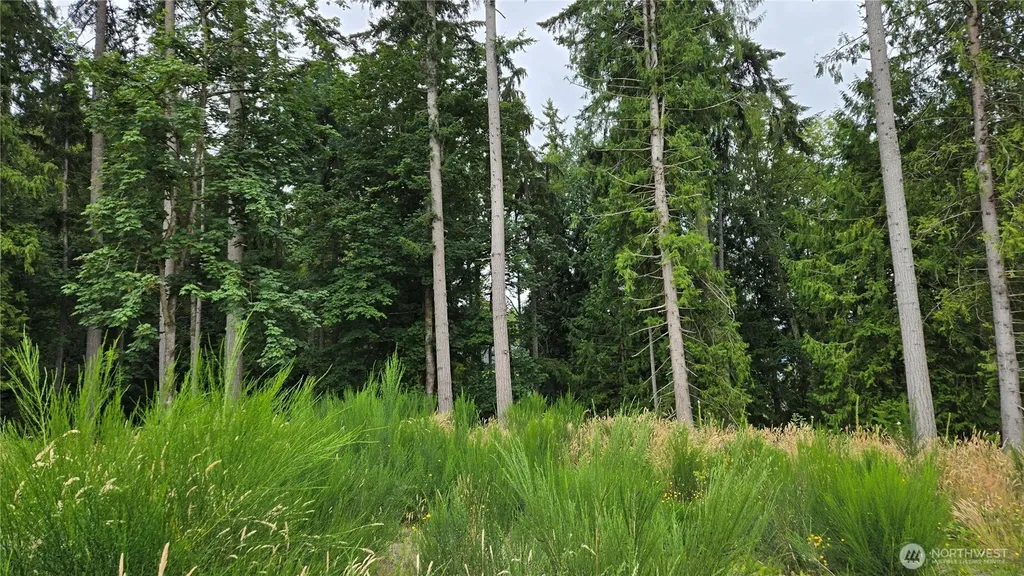 26 Oregon (Lot C Of Short Plat) Avenue E Port Orchard WA 98366
