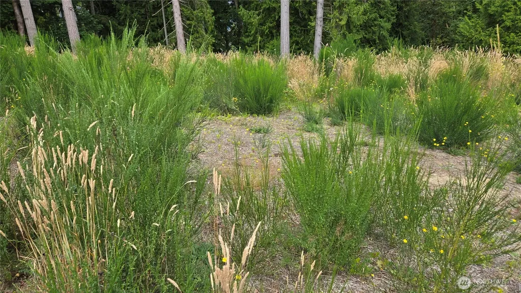 26 Oregon (Lot C Of Short Plat) Avenue E Port Orchard WA 98366