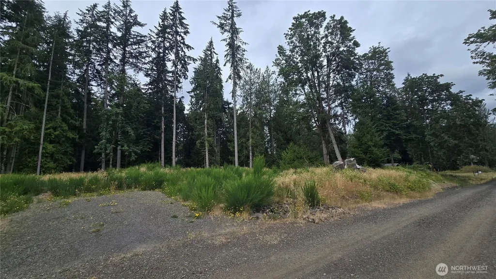 26 Oregon (Lot C Of Short Plat) Avenue E Port Orchard WA 98366