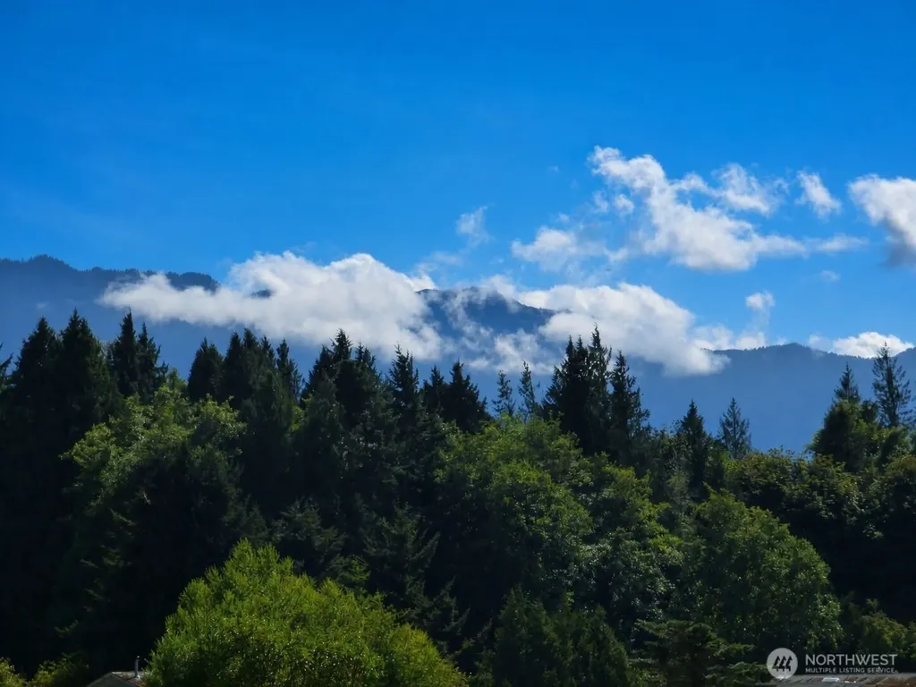 41 Full Moon Trail Port Angeles WA 98363