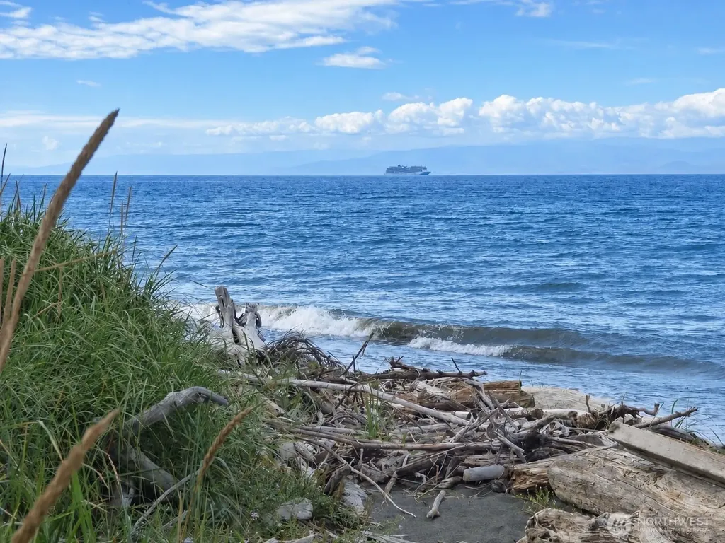 41 Full Moon Trail Port Angeles WA 98363