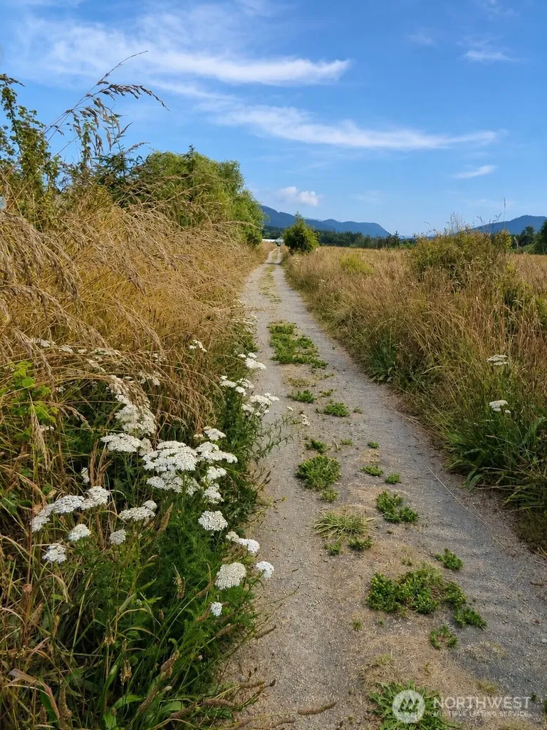 41 Full Moon Trail Port Angeles WA 98363