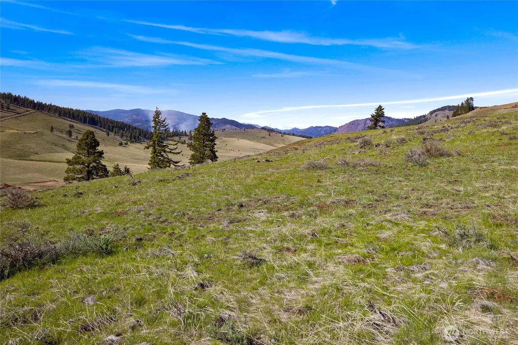9 Bettas Road Cle Elum WA 98922