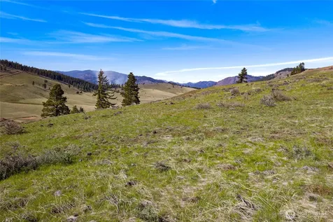 9 Bettas Road Cle Elum WA 98922