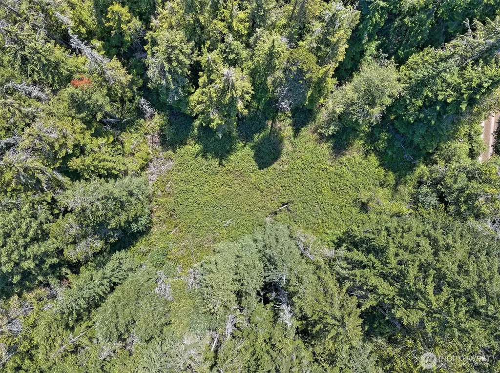 0 NE Eagle Creek Lane Tahuya WA 98528