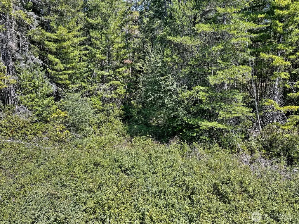 0 NE Eagle Creek Lane Tahuya WA 98528
