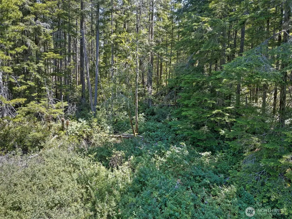 0 NE Eagle Creek Lane Tahuya WA 98528