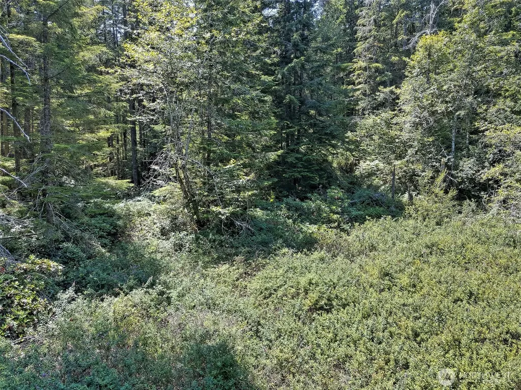 0 NE Eagle Creek Lane Tahuya WA 98528