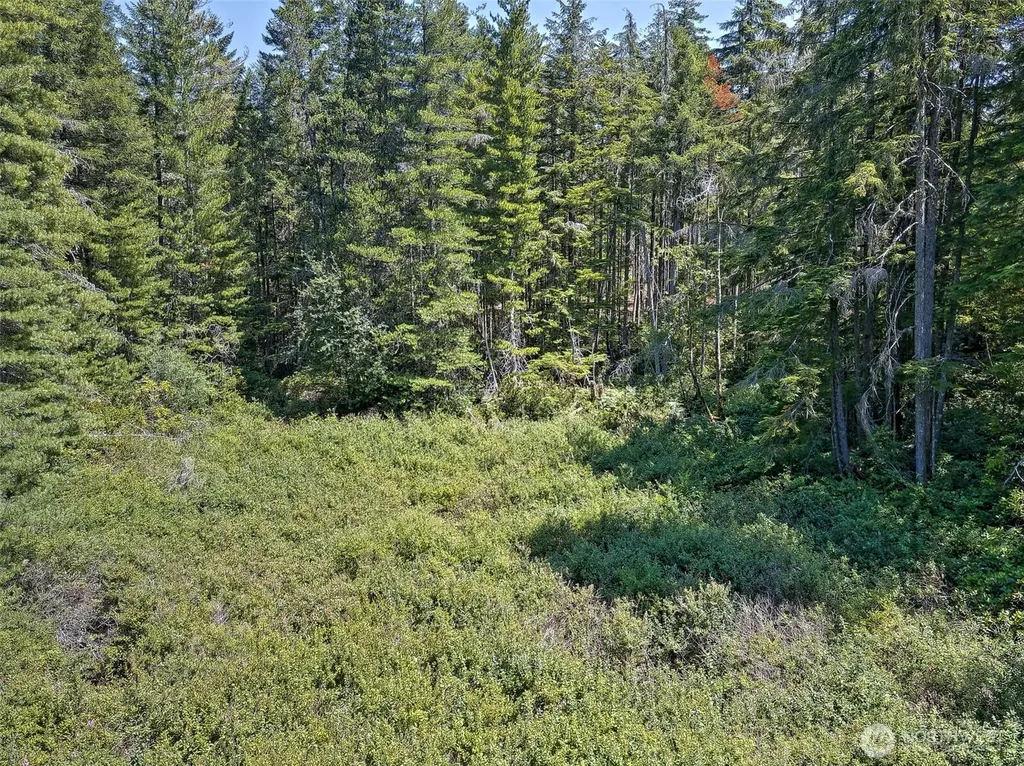0 NE Eagle Creek Lane Tahuya WA 98528