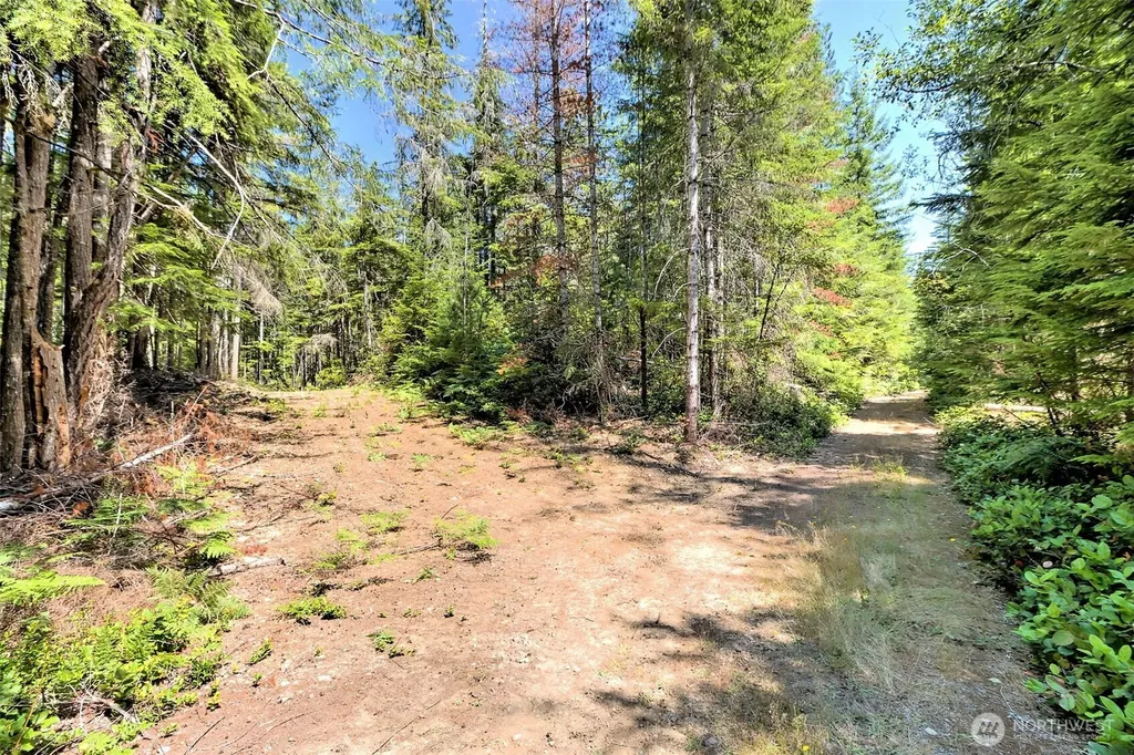 0 NE Eagle Creek Lane Tahuya WA 98528
