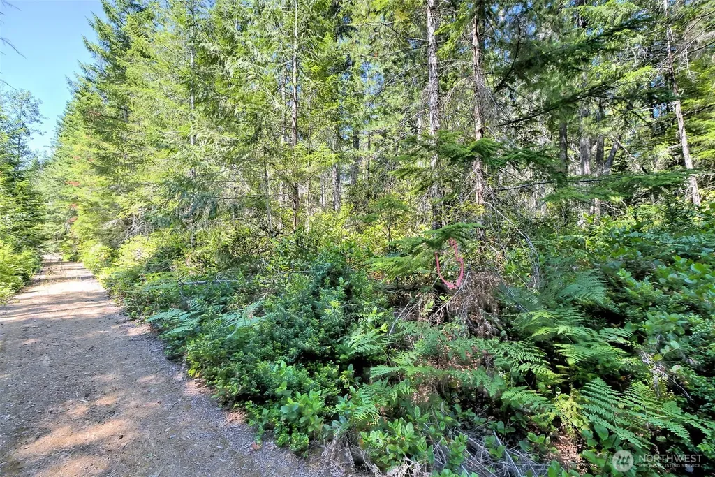 0 NE Eagle Creek Lane Tahuya WA 98528