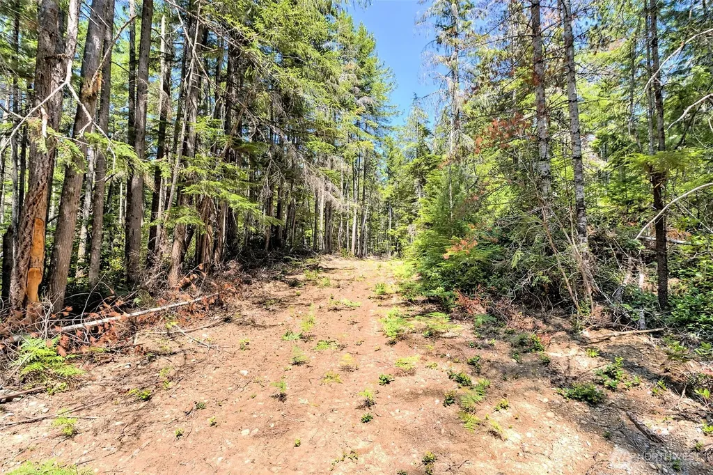 0 NE Eagle Creek Lane Tahuya WA 98528