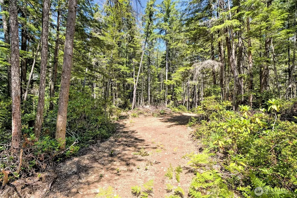 0 NE Eagle Creek Lane Tahuya WA 98528