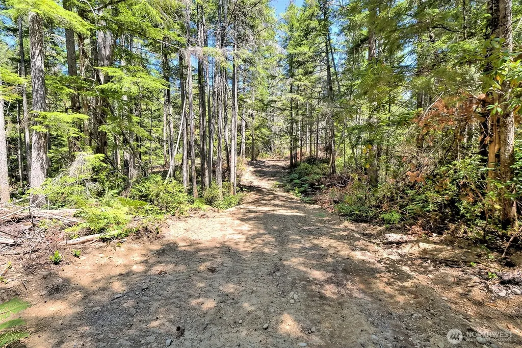 0 NE Eagle Creek Lane Tahuya WA 98528