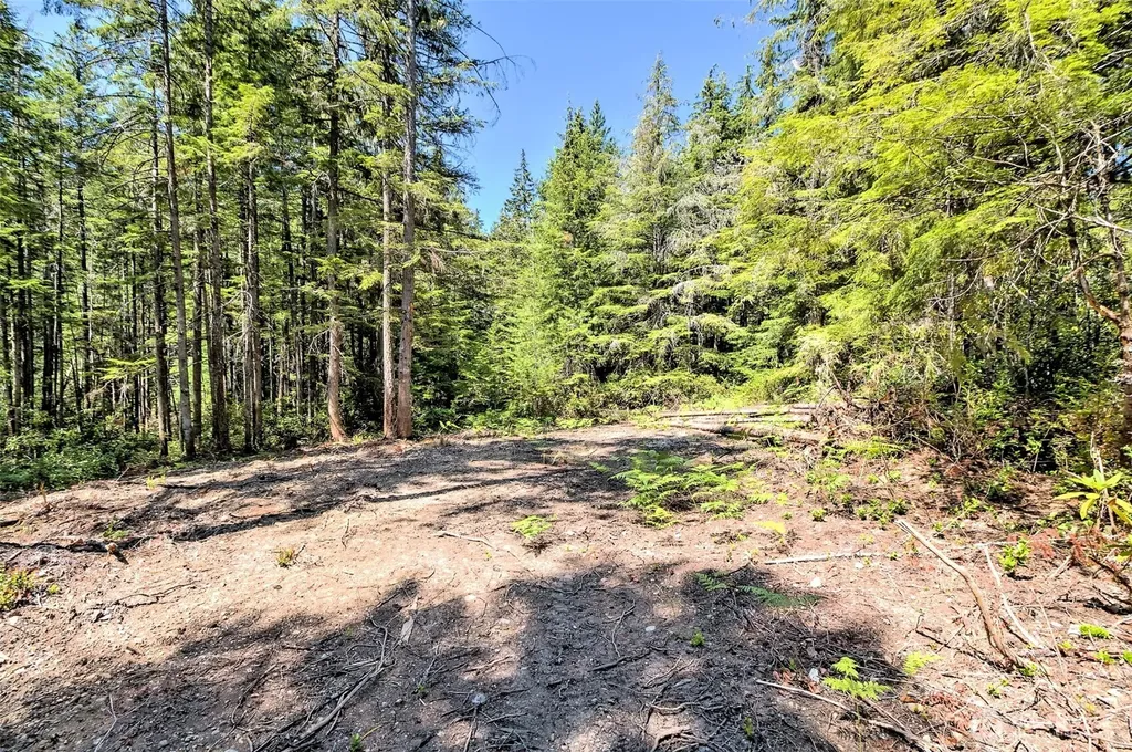 0 NE Eagle Creek Lane Tahuya WA 98528