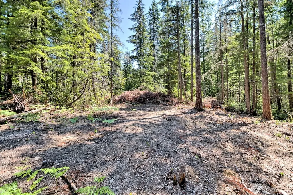 0 NE Eagle Creek Lane Tahuya WA 98528