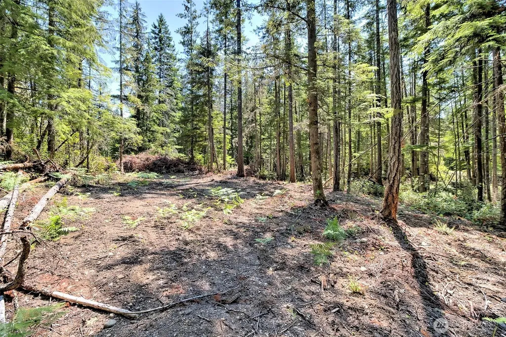 0 NE Eagle Creek Lane Tahuya WA 98528